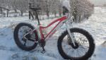 Fat bike 2 roues motrices