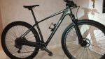 Specialized expert carbon 29