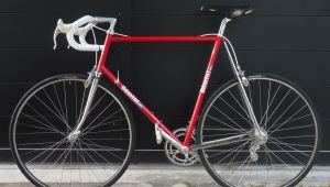 Vélo de course artisanal GEMINI DEPIERRE - COLUMBUS SLX - CAMPAGNOLO grande taille